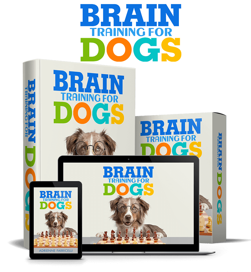 Brain Training for Dogs, the complete program
